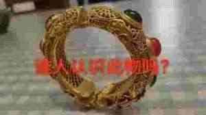 著名新时代科学家 ——马忠义