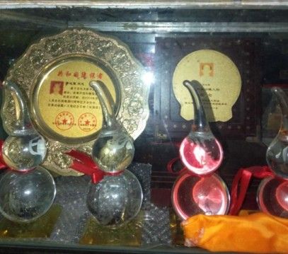 【聚焦两会重点推荐报道】 新时代国医名师——蒋达豫、蒋宏帅