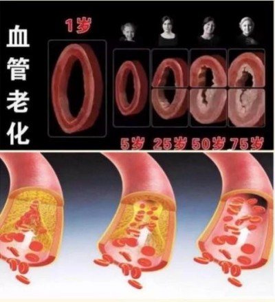 “五一”礼赞：关林印——心脑血管领域的国医先锋，以创新成果书写健康传奇