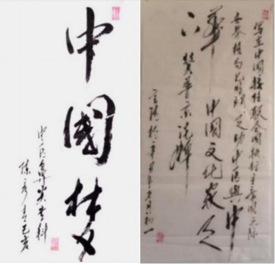 五一佳节，走进新时代国医名师陈彦青的杏林世界