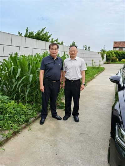 绿化混凝土：开启生态与工程融合新篇章