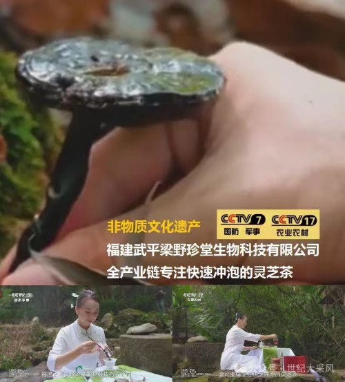 梁野珍堂林文辉：退伍军人的灵芝传奇，用非遗技艺续写千年养生智慧