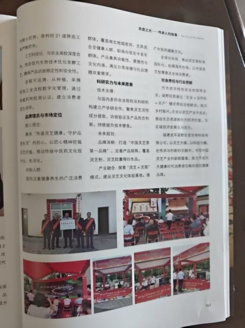 梁野珍堂林文辉：退伍军人的灵芝传奇，用非遗技艺续写千年养生智慧