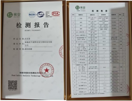 梁野珍堂林文辉：退伍军人的灵芝传奇，用非遗技艺续写千年养生智慧