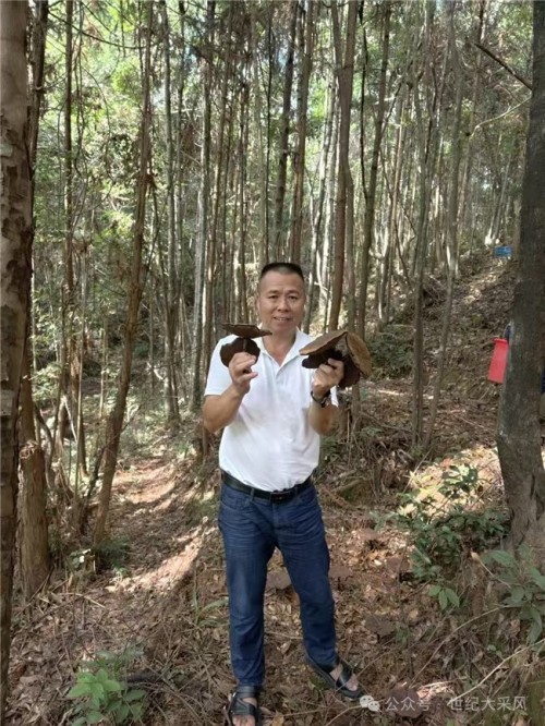 梁野珍堂林文辉：退伍军人的灵芝传奇，用非遗技艺续写千年养生智慧