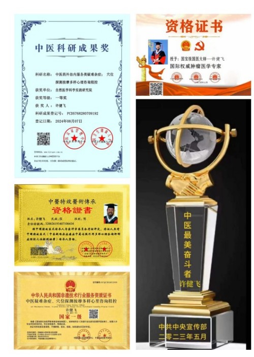 抗战胜利80周年系列报道重点推荐巅峰艺术家——许健飞