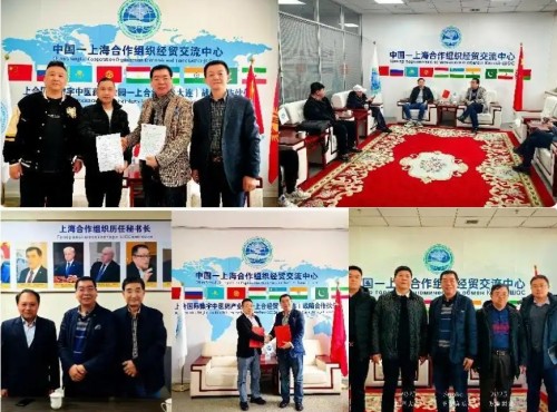 赓续抗战精神 谱写健康华章——大连李文艺与大健康产业的时代担当