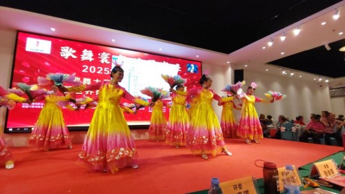歌舞寰宇 艺展巅峰 ---2025