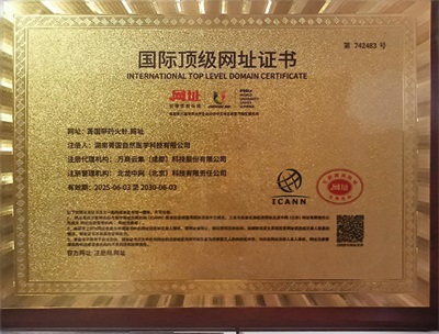 抗战胜利80周年特别报道 中国妈妈、著名医师---唐建华