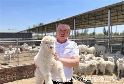 思耀国：头雁领航兴农路 实干担当助振兴