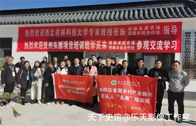 思耀国：头雁领航兴农路 实干担当助振兴