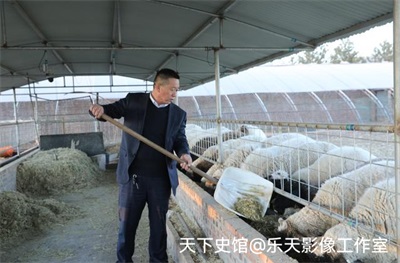 思耀国：头雁领航兴农路 实干担当助振兴