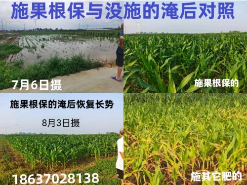 传承抗战精神 耕耘田野——农业科技先锋刘福信报国之路