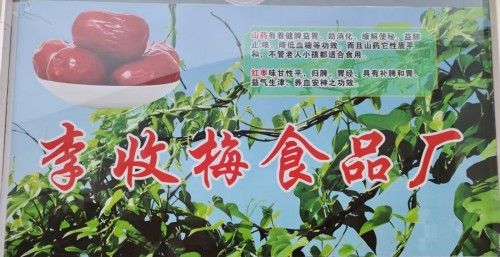 抗战80周年特别报道：烽火淬炼脾胃守，健康中国根脉传---李收梅