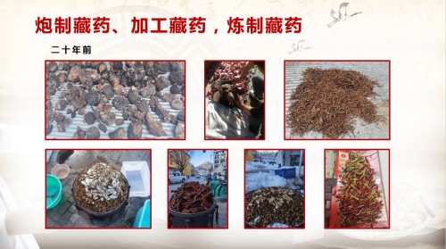 阅兵展国威•文化铸灵魂 著名中医藏药传承人—付录应