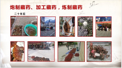 阅兵展国威•文化铸灵魂 著名中医藏药传承人—付录应