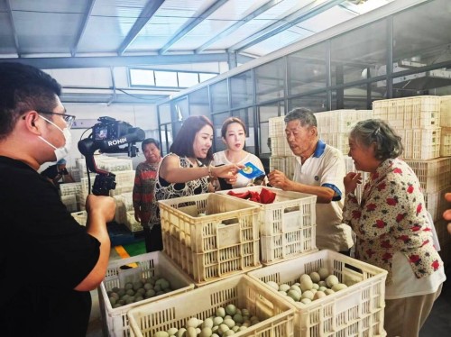 五代匠心守非遗 一枚鸭蛋富乡邻——记退役军人企业家陈学敬的