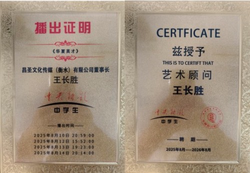 跨界逐梦写春秋：记工程师、音乐人王长胜的多元人生与时代担当