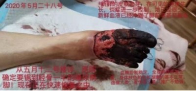 【备受瞩目满载荣誉医学名家】 探索生命医学——改变人类命运