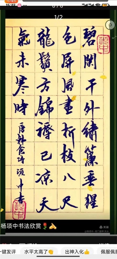 弘扬国学文化 传承易学精髓 记中国著名周易名家、书法家——杨项中