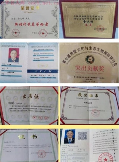 喜迎2026元旦 人物贺岁特别报道 易学风水名家——金大琳