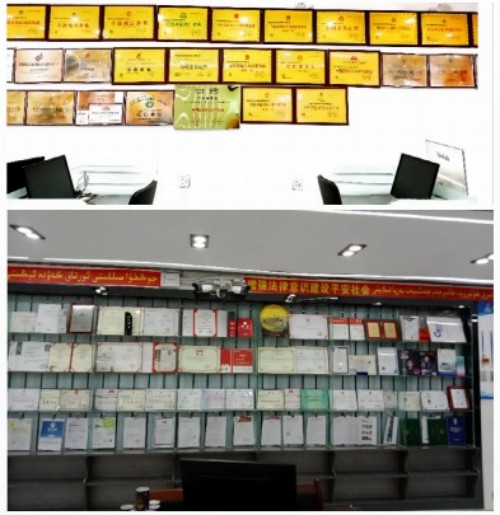 恭贺著名优秀诚信企业家---阿布都热依木·依力荣膺2025行业骏马奖