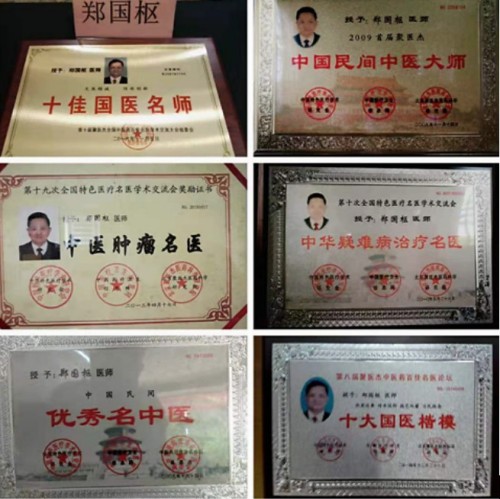 喜迎2026全国两会特别报道：潮汕中医世家传人---郑国枢