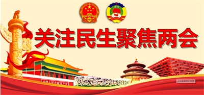 两会视角下的绿色转型实践：上海久鼎以新质生产力书写双碳答卷