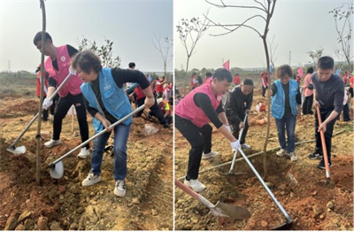 聚焦两会·文化传承特别报道：卢雯以易道之力，筑文化自信之基