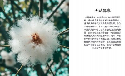 锚定“十五五”产业升级目标：东莞集思纺织以创新与绿色书写纺织业高质量发展新篇