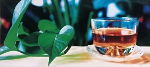 太御元黄酮老树叶，千金石柯(代用茶)以“预防为先”为核，开启天然养生新范式