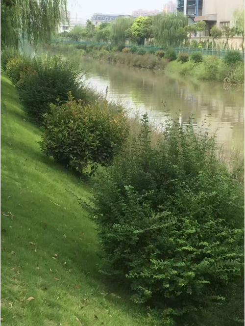 筑牢水利民生安全防线 践行双碳生态发展战略——亟需全面推广绿化混凝土生态护坡技术防范河道落水悲剧重演