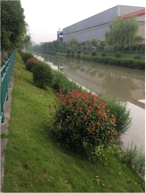 筑牢水利民生安全防线 践行双碳生态发展战略——亟需全面推广绿化混凝土生态护坡技术防范河道落水悲剧重演