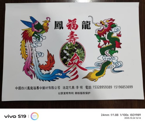 中国著名医学专家 李明与他的龙凤福参传奇