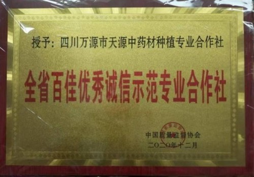 中国著名医学专家 李明与他的龙凤福参传奇