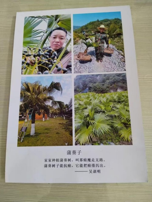 【礼赞八一建军节特别报道】 国宝级中医——吴训明