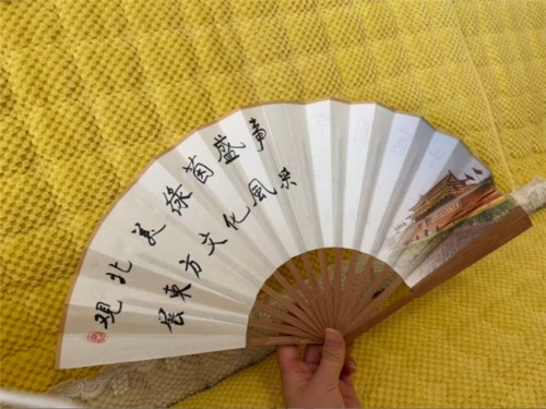 以绿茵为媒、以岐黄为桥 李乘伊携中医国粹亮相 2026 美加墨世界杯