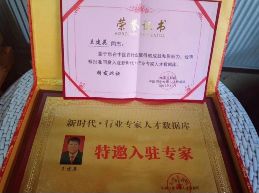 八一专题报道 新时代国医名师---王建英