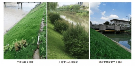 礼赞八一特别报道：上海久鼎绿化混凝土有限公司董事长李仁 以绿色创新铸大国之材，以责任担当护山河锦绣