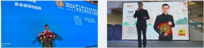 王紫枫：以匠心研经典，以文化润人心