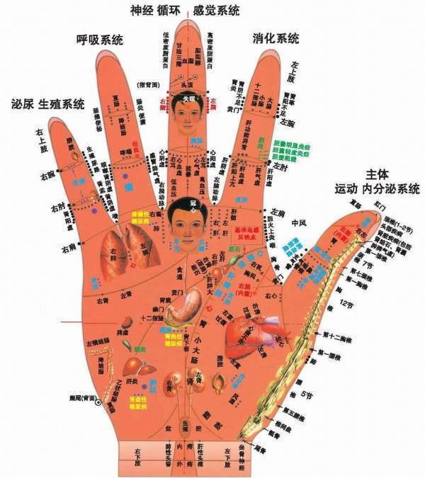 医痴仁心，妙手仁术——记自然医学践行者罗学华