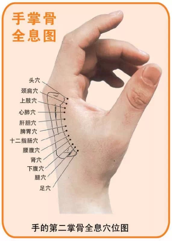 医痴仁心，妙手仁术——记自然医学践行者罗学华