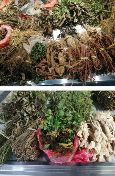 仁心仁术五十载，大医精诚暖滇南——记云南民间中医王世文