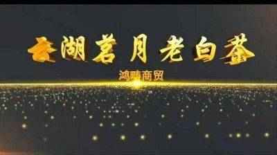 中国当代著名书法家魏敏为猎鹰护卫俱乐部题字