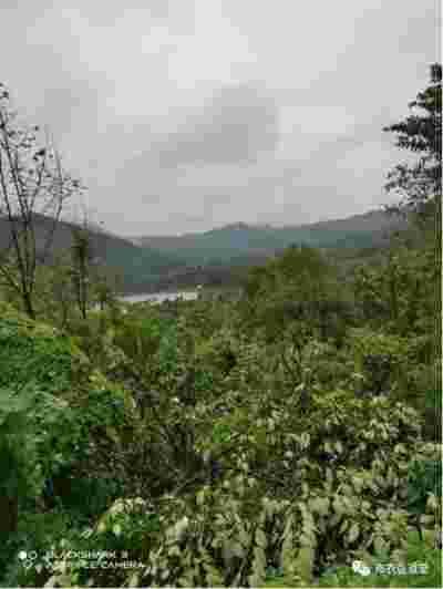 彰显中国榜样 特别报道当代易学泰斗---李春