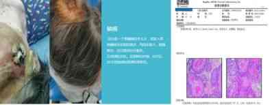 大国医者 国医名师——宁永球