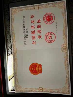 踔厉奋斗 勇毅前行 织金农耀农业开发有限公司董事长---曾爱生