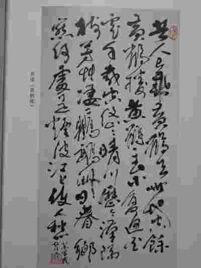 实话实说——癌症非不治之症