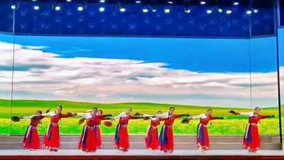 飞扬在西北高原的南国之鹰