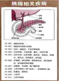建国75周年特别报道 北京王铁创中医研究院院长---王铁创